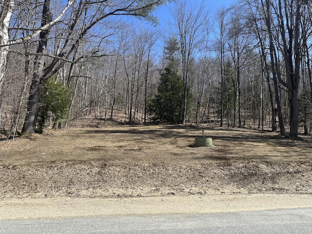 view of local wilderness