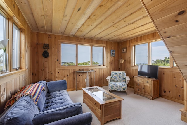 carpeted living room with wooden walls and wooden ceiling