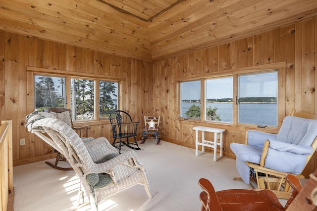 sitting room featuring a water view, light carpet, and wood walls