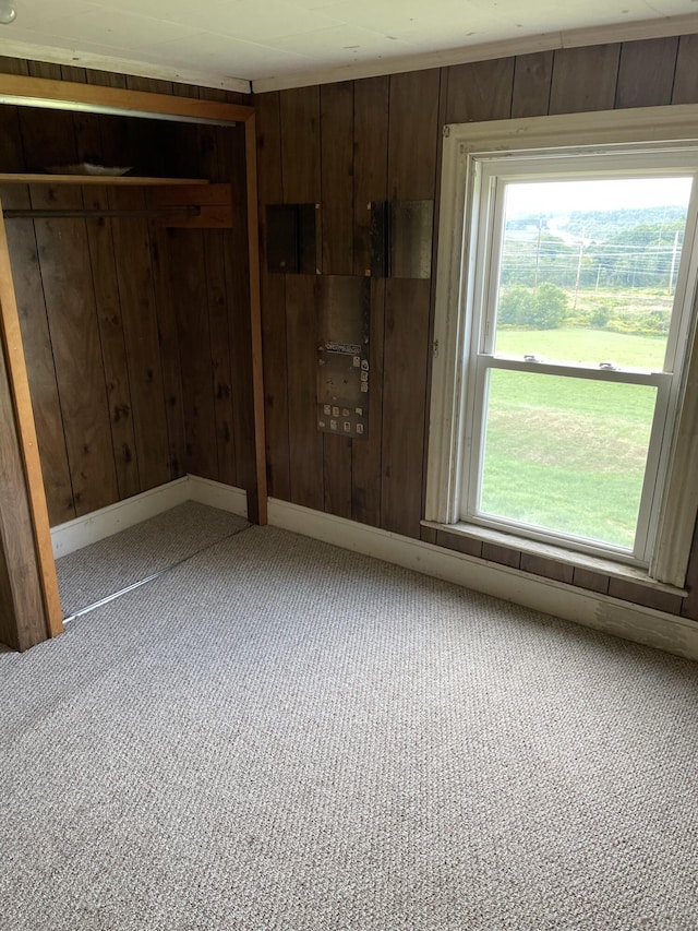 carpeted empty room with a wealth of natural light and wood walls