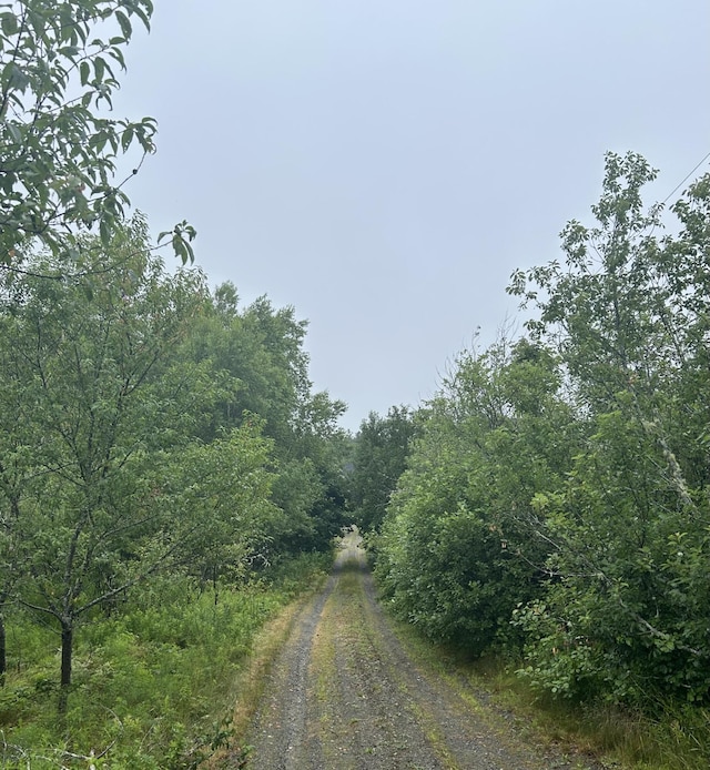 view of road