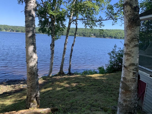 view of water feature