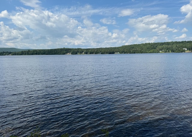 view of water feature