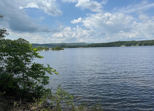 view of water feature