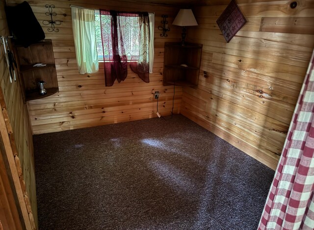 carpeted spare room with wooden walls