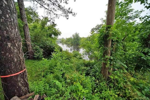 view of nature featuring a water view