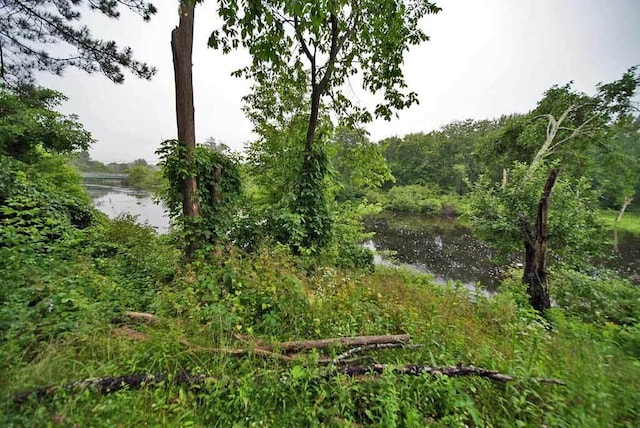 view of landscape featuring a water view