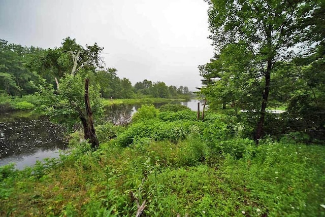 view of local wilderness with a water view