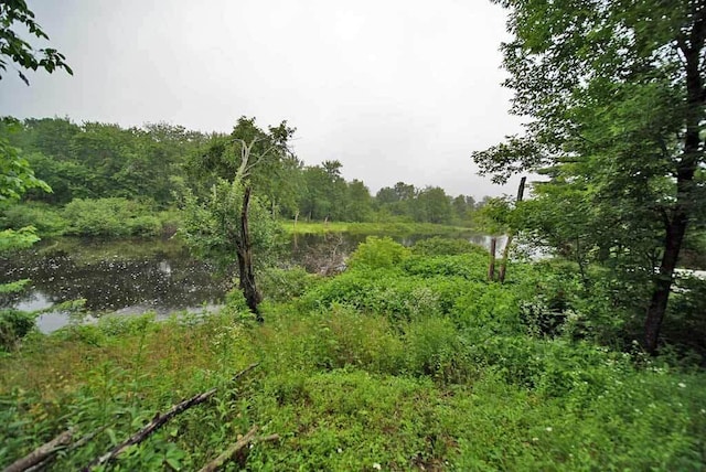 view of landscape featuring a water view