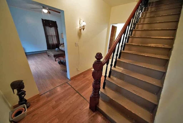 stairway featuring ceiling fan and hardwood / wood-style floors