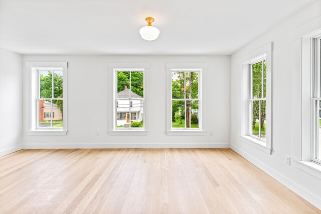 spare room featuring light wood-type flooring and a wealth of natural light