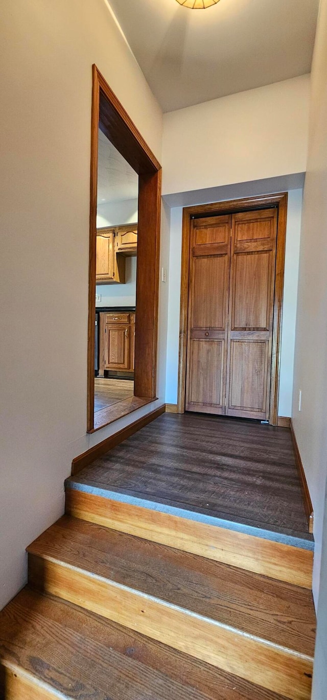 stairway featuring wood-type flooring