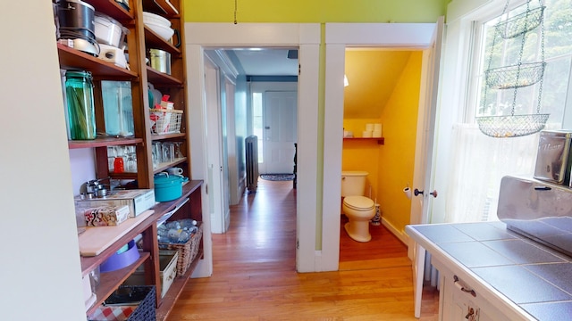 interior space featuring hardwood / wood-style floors and toilet