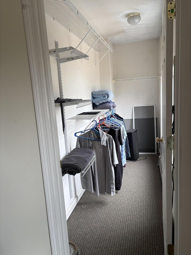 186 Line Rd, Buxton, ME 04093 - walk in closet with carpet flooring