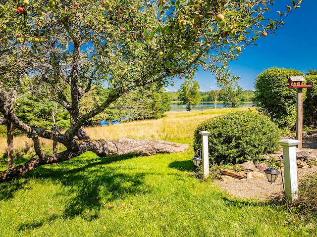 view of yard featuring a water view