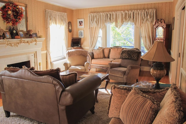 living room with wood-type flooring, a healthy amount of sunlight, and a fireplace