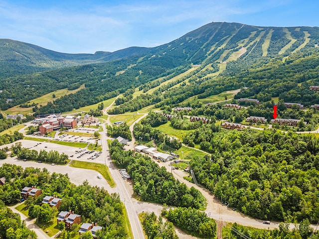 bird's eye view featuring a mountain view