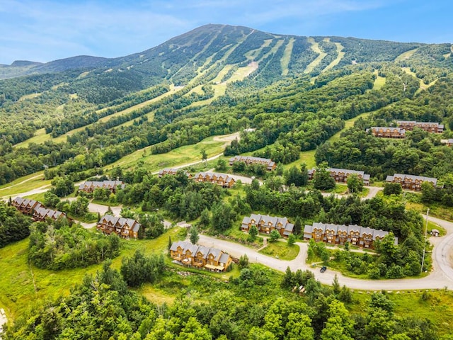 bird's eye view with a mountain view