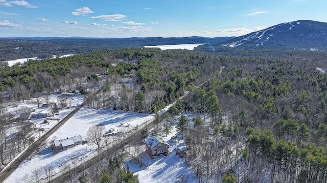 snowy aerial view featuring a mountain view