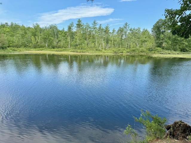 LOT45 Ossipee Trl, Porter, ME 04068