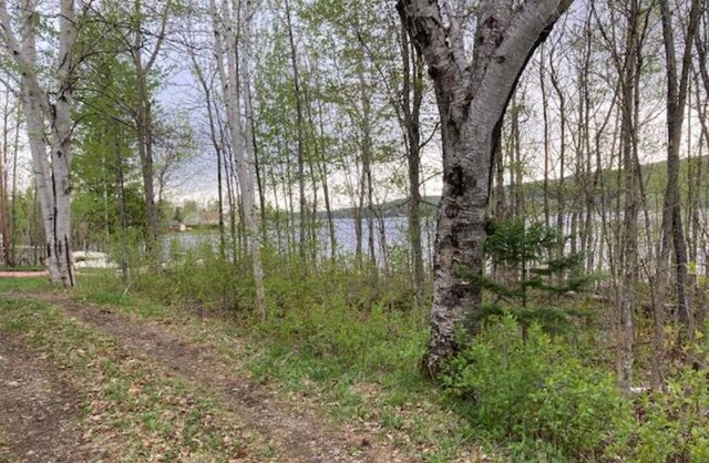 000 Pelletier Ln, Eagle Lake, ME 04739 - photo 5