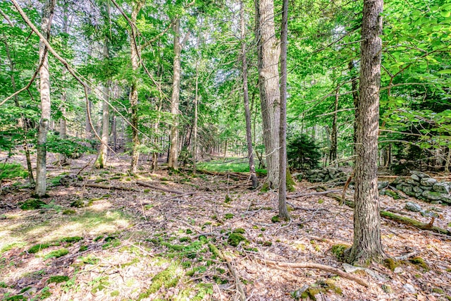 view of local wilderness