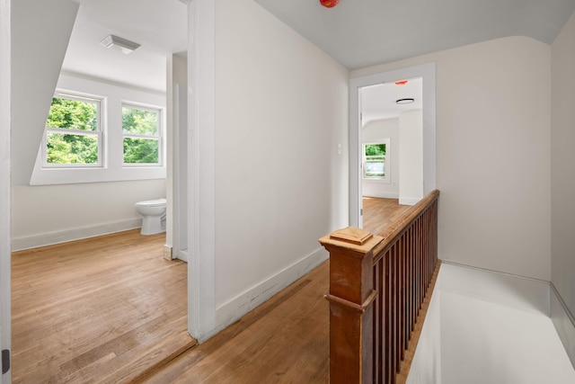 hallway featuring a healthy amount of sunlight and light wood-type flooring