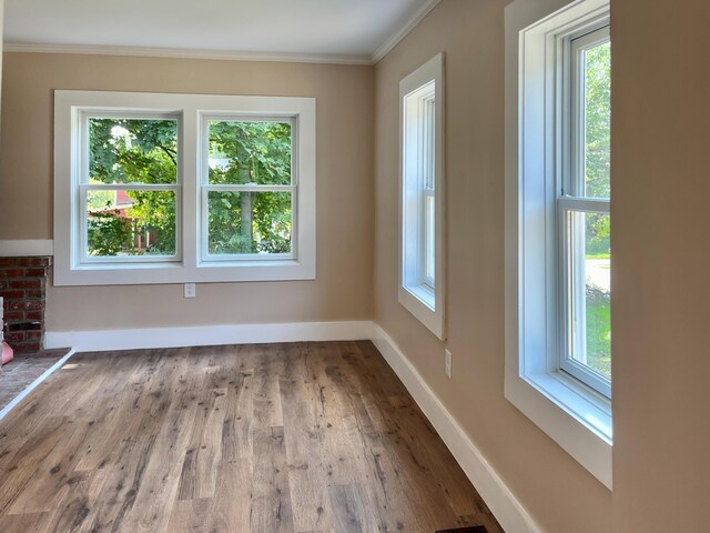 interior space featuring ornamental molding, light wood-type flooring, and plenty of natural light