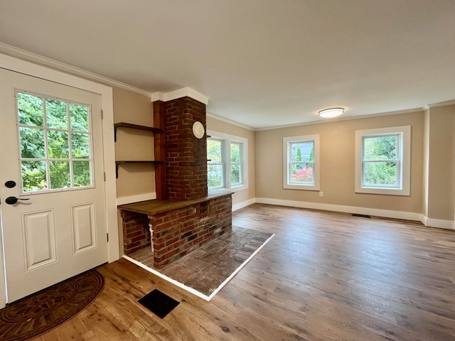 interior space featuring ornamental molding, a wealth of natural light, and hardwood / wood-style floors