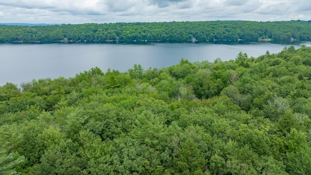 0 Loon Point Ln, Poland, ME 04274 - photo 17