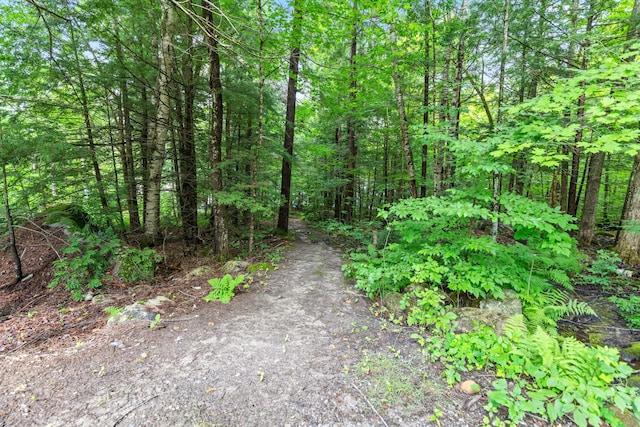 0 Loon Point Ln, Poland, ME 04274 - photo 9