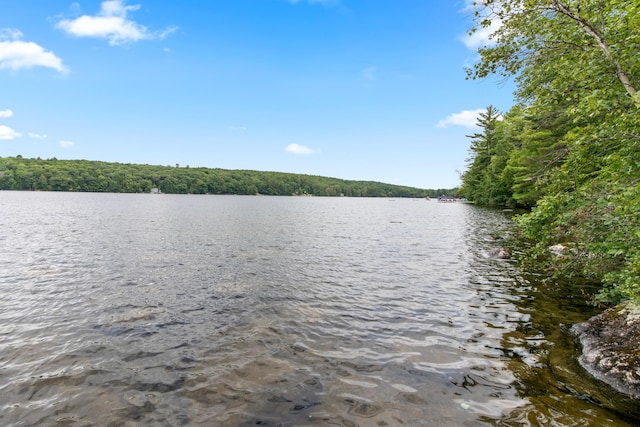 0 Loon Point Ln, Poland, ME 04274 - photo 13