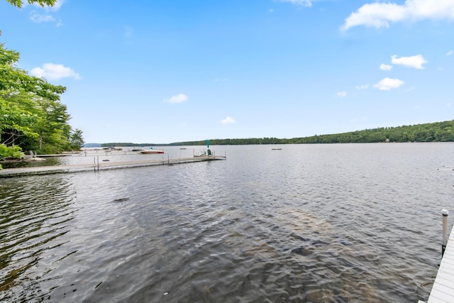 0 Loon Point Ln, Poland, ME 04274 - photo 12