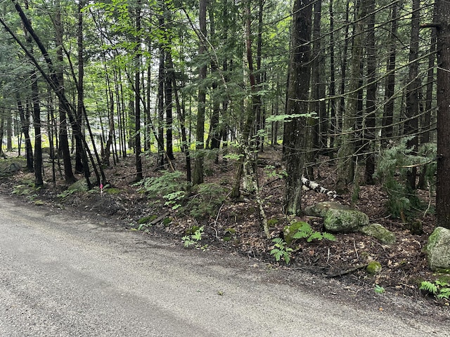 0 Loon Point Ln, Poland, ME 04274 - photo 3