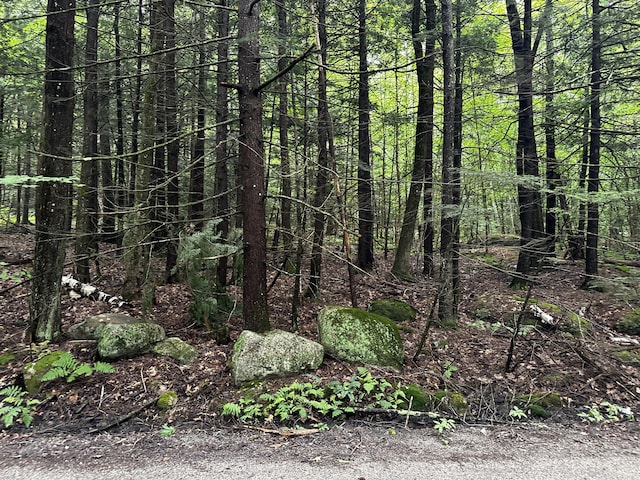 0 Loon Point Ln, Poland, ME 04274 - photo 4