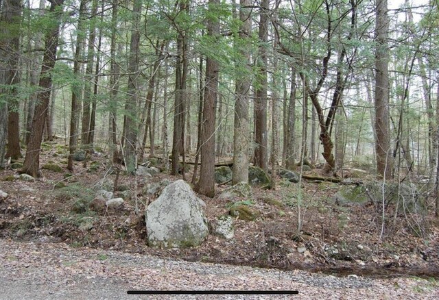 0 Loon Point Ln, Poland, ME 04274 - photo 6