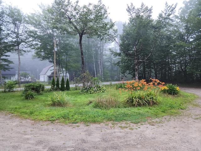 19 Resh Rd, Searsport, ME 04974 - view of yard