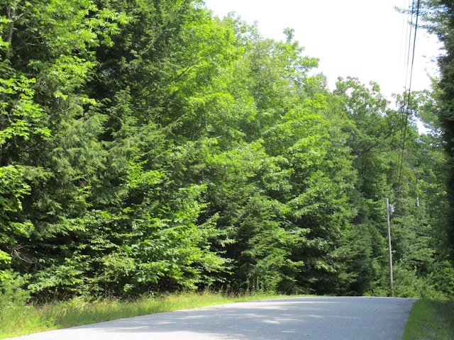 R5LOT25.28 Cobble Hill Rd, Paris ME, 04281 land for sale