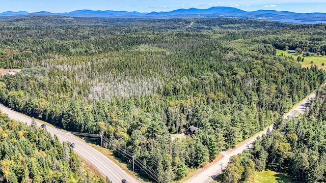 drone / aerial view with a mountain view