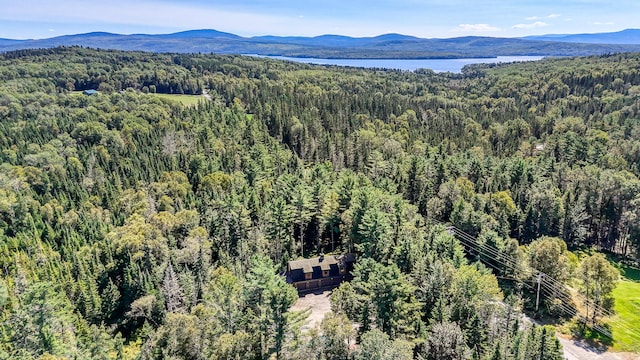 drone / aerial view featuring a mountain view