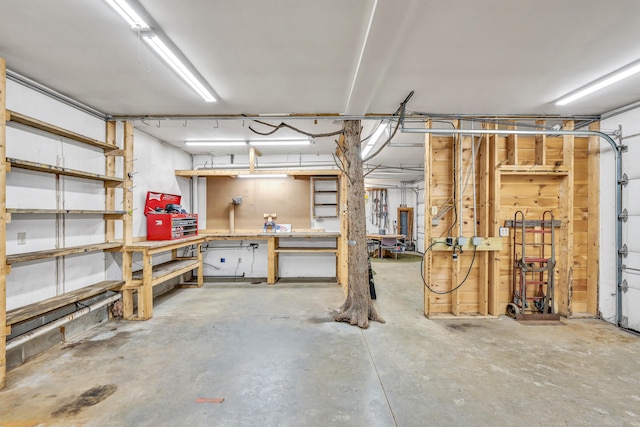 basement featuring a workshop area