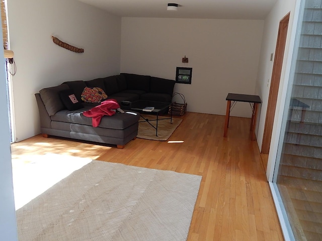 living room with light wood-type flooring