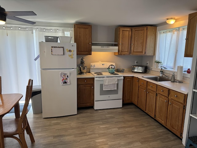 kitchen with a sink, wood finished floors, under cabinet range hood, white appliances, and ceiling fan