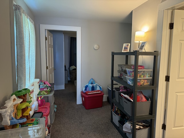 recreation room with carpet flooring