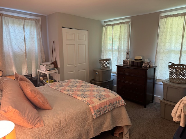 carpeted bedroom featuring a closet