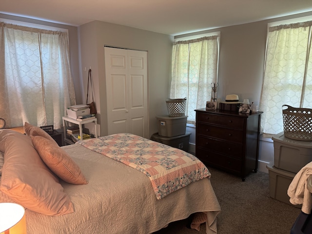 bedroom featuring a closet and carpet floors