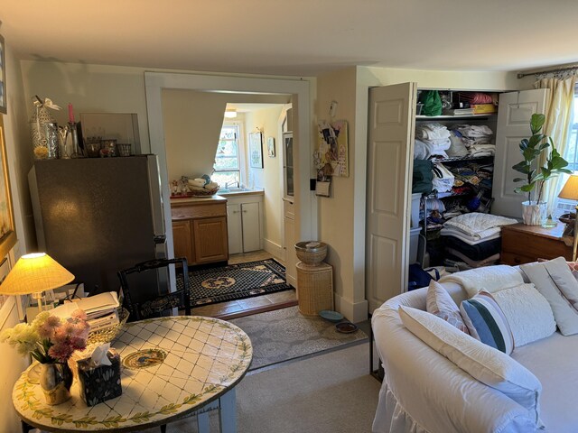 carpeted living room featuring a sink