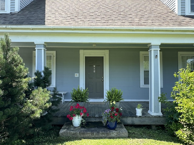 entrance to property with covered porch and roof with shingles