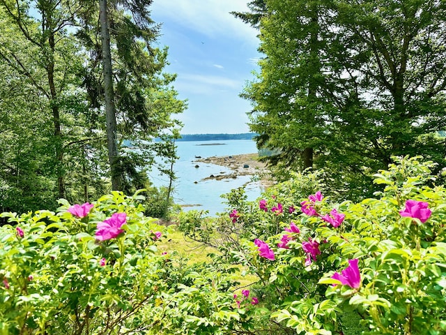 54 Harbor Hills Ln, Addison, ME 04606 - water view