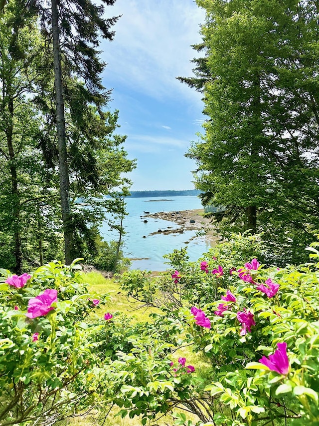 54 Harbor Hills Ln, Addison, ME 04606 - water view